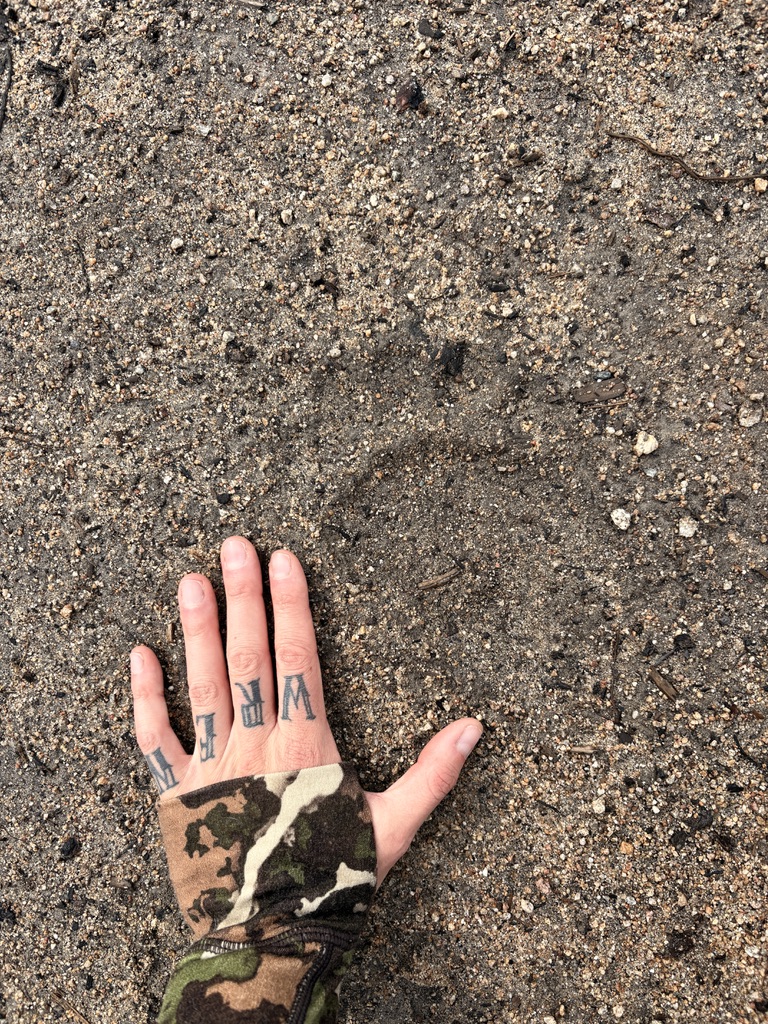 A hand resting on the ground, fingers spread, with knuckle tattoos and camo cuff.
